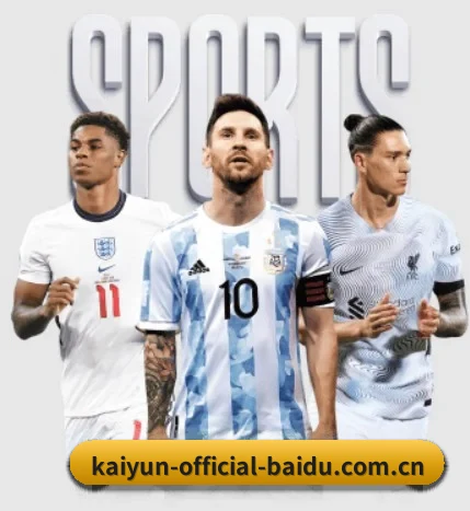 五大服务分区,信息按项目分类